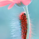 Illustration for article titled Wildlife photos that blur the line between reality and fantasy